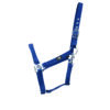 Hy Economy Plus Headcollar - Image 4