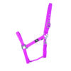 Hy Economy Plus Headcollar