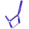 Hy Economy Plus Headcollar - Image 2