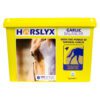 Horslyx Balancer Garlic - Image 2