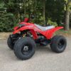 Quadzilla R100 Junior Quad Bike - Image 5
