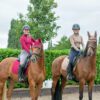 Hy Equestrian Sport Active Base Layer Merlot - Image 7