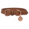 Benji & Flo Superior Padded Leather Dog Collar - Image 3