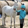 Hy Equestrian Dynaforce Base Layer Pacific/Grey - Image 4
