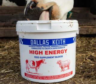 Dallas Keith Dry Stock