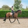 Hy Sports Active Brushing Boots - Image 32