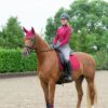 Hy Sports Active Brushing Boots - Image 28