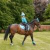 Hy Sports Active Brushing Boots - Image 24