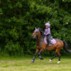 Hy Sports Active Brushing Boots - Image 36