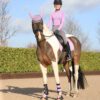 Hy Sports Active Brushing Boots - Image 34