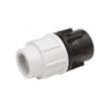 Plasson 7030 Female Adaptor