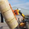 Ritchie Bale Grabs & Handlers - Image 2