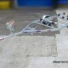 Indespension Roller Coaster Boat Trailer - Image 7