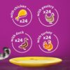 Whiskas Poultry Feasts 1+ - Image 2
