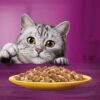 Whiskas Poultry Feasts 1+ - Image 3