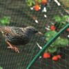 Garden Net - Image 3