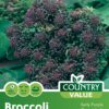 Garden Value Vegtable Seeds - Image 8