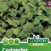 Garden Value Vegtable Seeds - Image 21