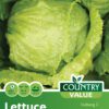 Garden Value Vegtable Seeds - Image 33