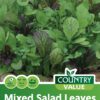 Garden Value Vegtable Seeds - Image 39