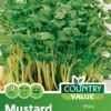 Garden Value Vegtable Seeds - Image 40