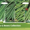 Garden Value Vegtable Seeds - Image 51
