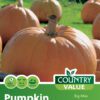 Garden Value Vegtable Seeds - Image 55
