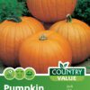 Garden Value Vegtable Seeds - Image 56