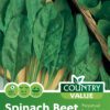 Garden Value Vegtable Seeds - Image 65