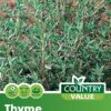 Garden Value Vegtable Seeds - Image 70