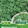 Garden Value Vegtable Seeds - Image 76
