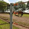 Gallagher Soft Touch Gate Handle - Tape - Image 2