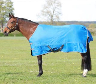 StormX Empra 0 Turnout Rug