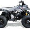 Black Quadzilla R100 junior quad
