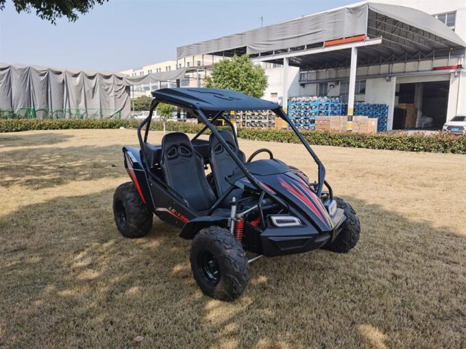 Black Hammerhead GTS150 LE on a garden lawn